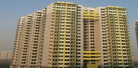 W020241121369725364474