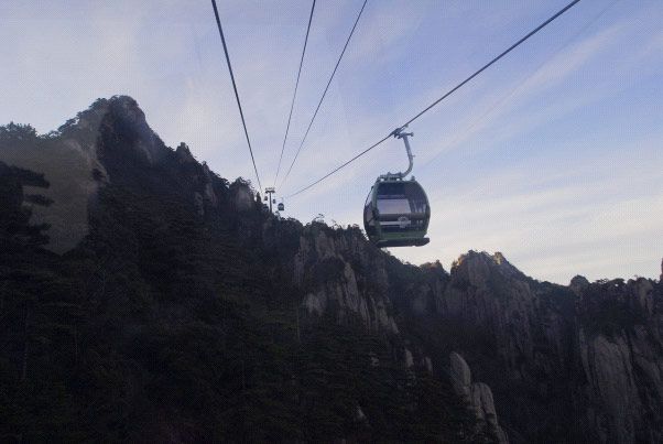 W020241121369698291918