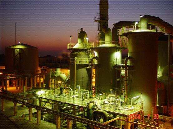 W020241119546157012409