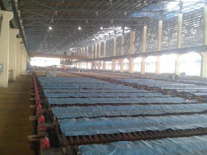 W020241119525560284420